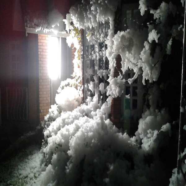 WhatsApp Image 2025-08-06 at 10.52.04 (1)